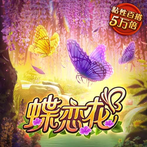 不雅视频单机版